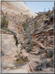 foto Capitol Reef e Bryce Canyon